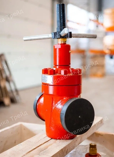 Задвижка ЗПРМ 100х350